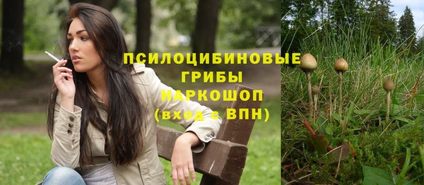 молекула духа Алзамай